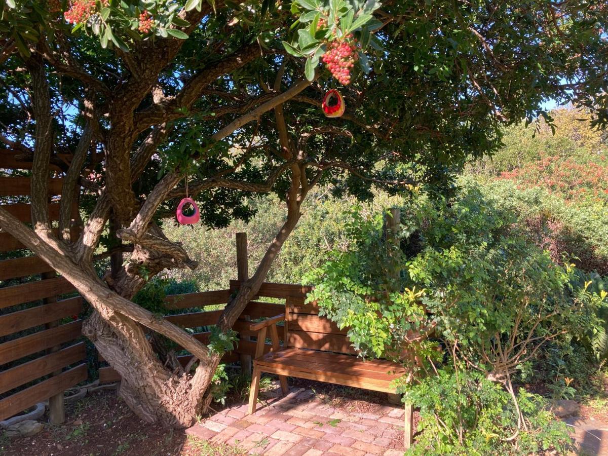The Lookout Deck - Near Secrets Beach Jeffreys Bay Extérieur photo
