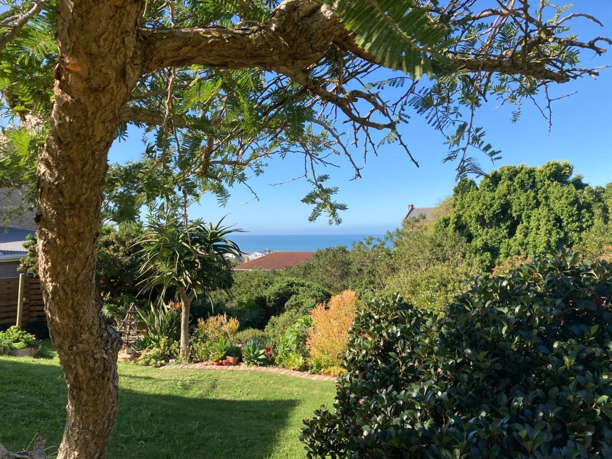 The Lookout Deck - Near Secrets Beach Jeffreys Bay Extérieur photo